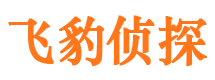 云梦市私家侦探